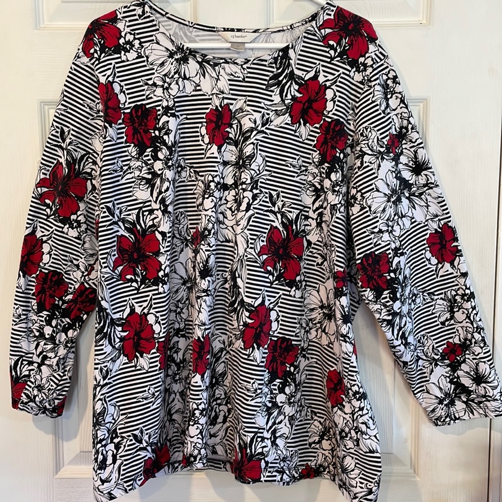 CJBanks Size 3X Top